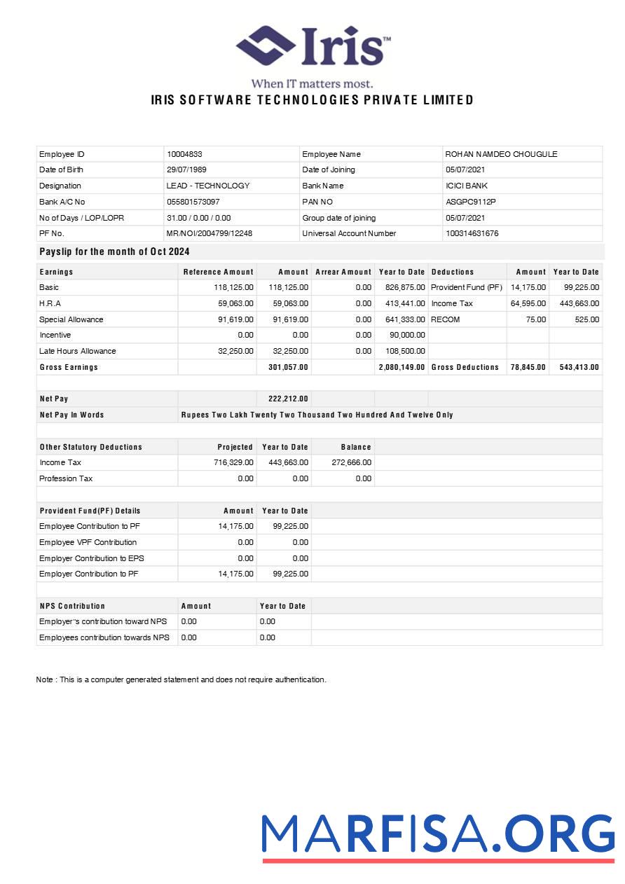 Printable Iris Software Technologies payslip template